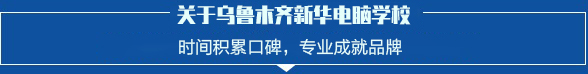 乌鲁木齐新华互联网学校